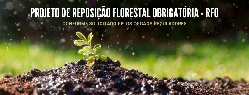 Projeto de Reposio Florestal Obrigatria (RFO) 